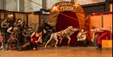 Le Cirque du Platzak Kermiz
